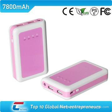 big capacity power bank with LED torch and double USB outputs